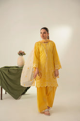 Stone Linen Cut Work Embroidered Short Kurta Farshi 3 Piece Suit