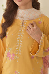 Stone Linen Embroidered Shirt with Farshi Salwar – 3 Piece