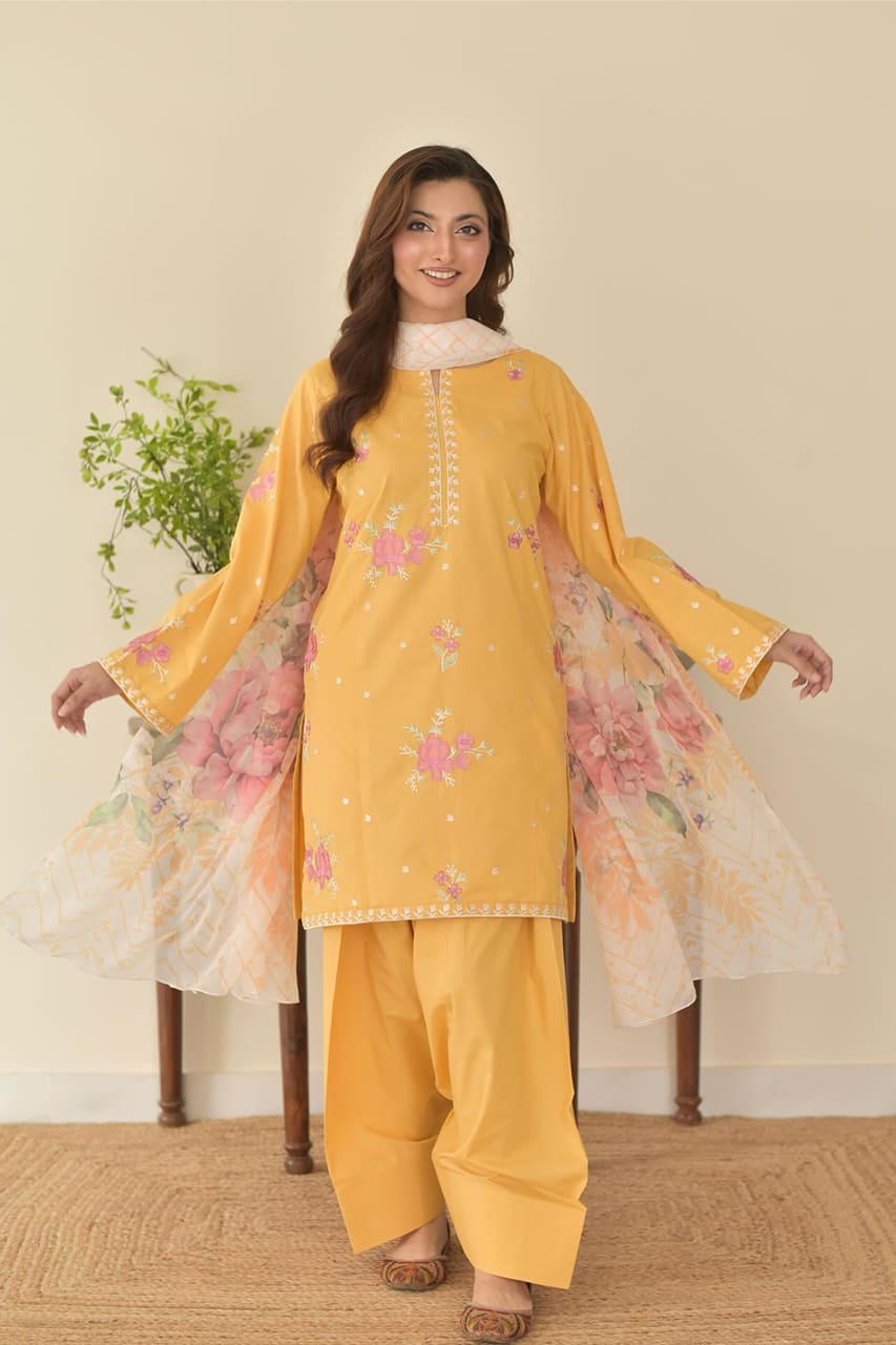 Stone Linen Embroidered Shirt with Farshi Salwar – 3 Piece