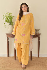 Stone Linen Embroidered Shirt with Farshi Salwar – 3 Piece