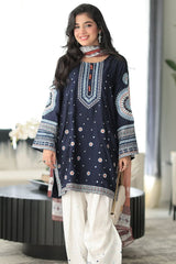 Stone Linen Embroidered Boring Baazo Farshi Salwar Suit 3 Piece