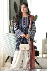 Stone Linen Embroidered Boring Baazo Farshi Salwar Suit 3 Piece