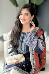 Stone Linen Embroidered Boring Baazo Farshi Salwar Suit 3 Piece