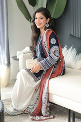 Stone Linen Embroidered Boring Baazo Farshi Salwar Suit 3 Piece