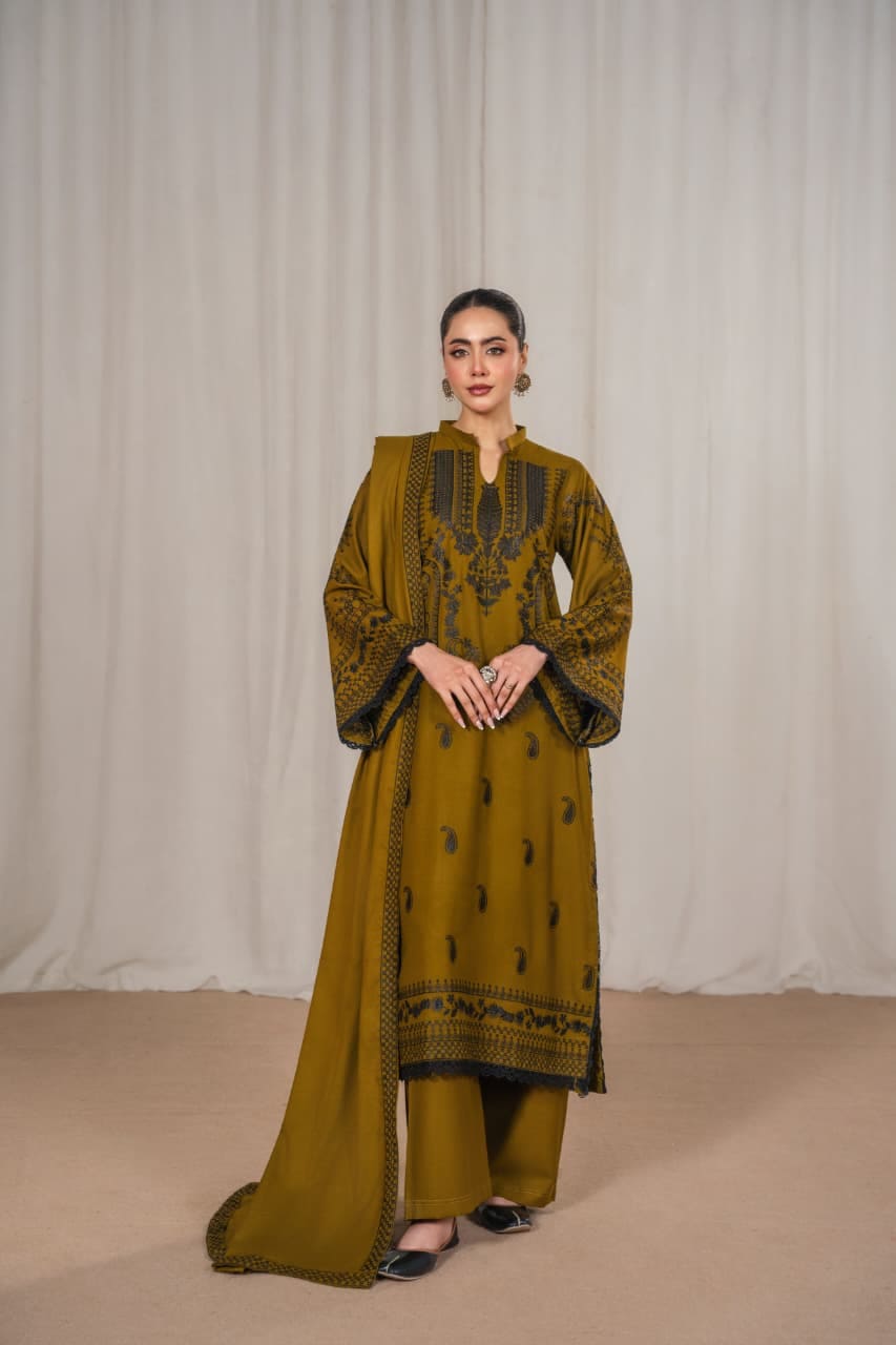 Dhanak Embroidered Long Length 3 Piece Suit