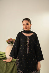 Stone Linen Sequence Embroidered Shirt Farshi 3 Piece Suit