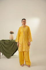 Stone Linen Cut Work Embroidered Short Kurta Farshi 3 Piece Suit