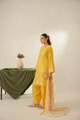 Stone Linen Cut Work Embroidered Short Kurta Farshi 3 Piece Suit