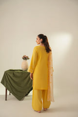 Stone Linen Cut Work Embroidered Short Kurta Farshi 3 Piece Suit