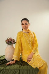 Stone Linen Cut Work Embroidered Short Kurta Farshi 3 Piece Suit