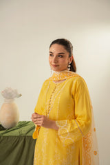 Stone Linen Cut Work Embroidered Short Kurta Farshi 3 Piece Suit