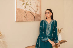 Premium Stone Linen Winter Embroidered Long Shirt with Plain Trouser – 2 Piece