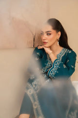 Premium Stone Linen Winter Embroidered Long Shirt with Plain Trouser – 2 Piece